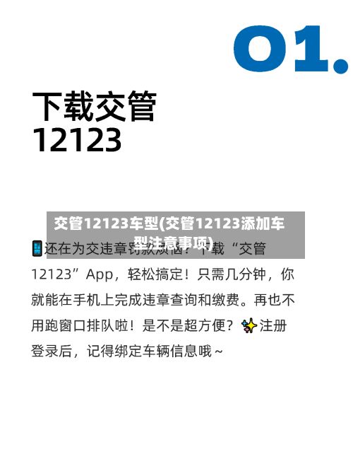 交管12123车型(交管12123添加车型注意事项)-第2张图片