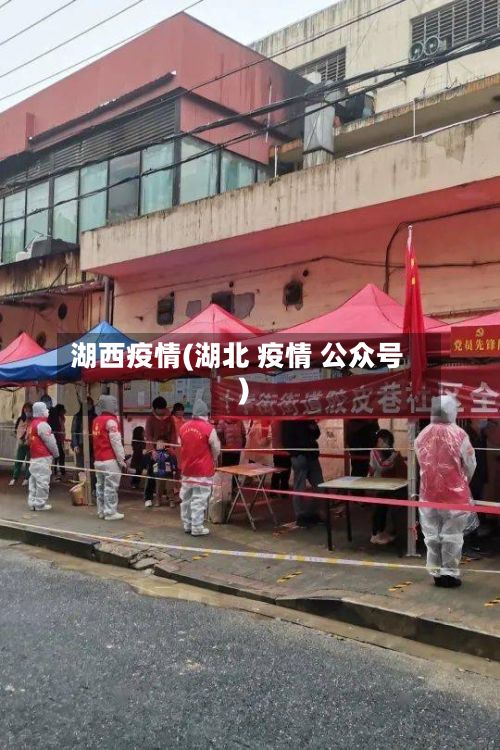湖西疫情(湖北 疫情 公众号)
