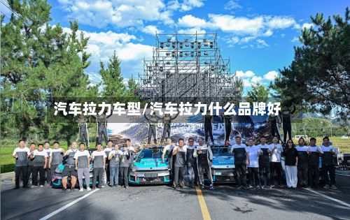汽车拉力车型/汽车拉力什么品牌好-第3张图片
