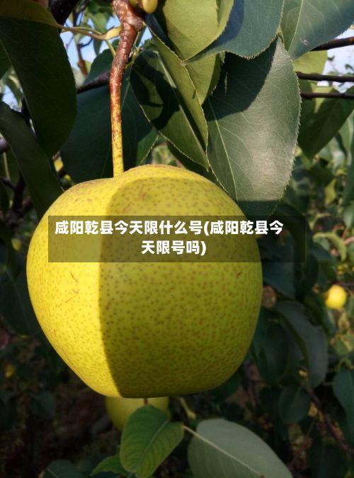 咸阳乾县今天限什么号(咸阳乾县今天限号吗)-第2张图片