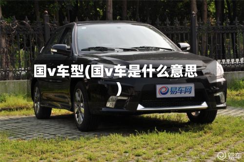 国v车型(国v车是什么意思)-第2张图片