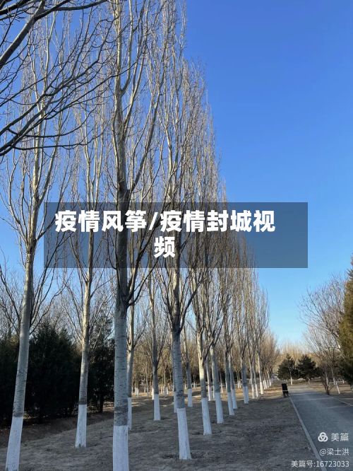 疫情风筝/疫情封城视频-第3张图片