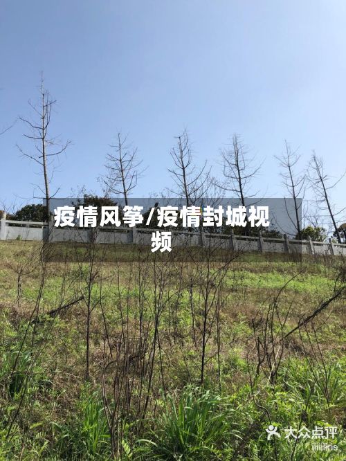 疫情风筝/疫情封城视频-第2张图片