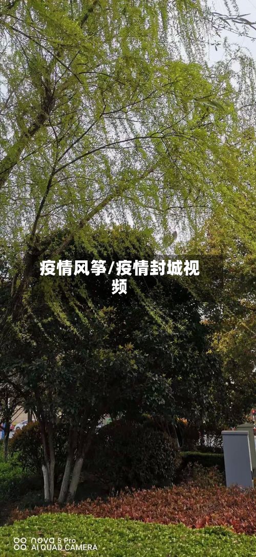 疫情风筝/疫情封城视频