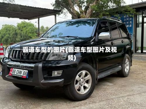 霸道车型的图片(霸道车型图片及视频)