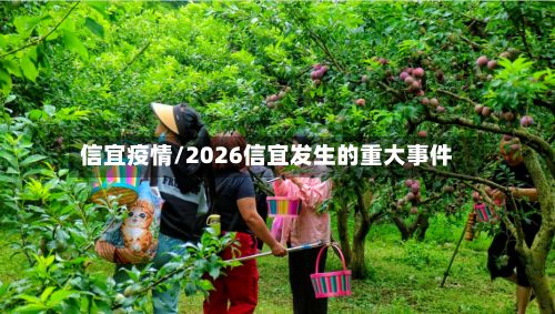 信宜疫情/2026信宜发生的重大事件-第3张图片