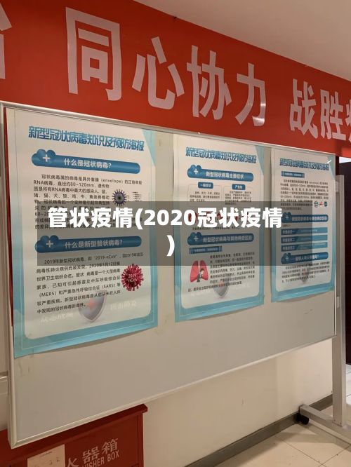 管状疫情(2020冠状疫情)