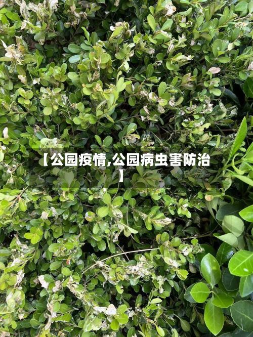 【公园疫情,公园病虫害防治】-第2张图片