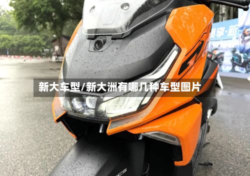 新大车型/新大洲有哪几种车型图片