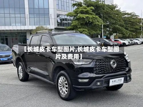 【长城皮卡车型图片,长城皮卡车型图片及费用】-第3张图片