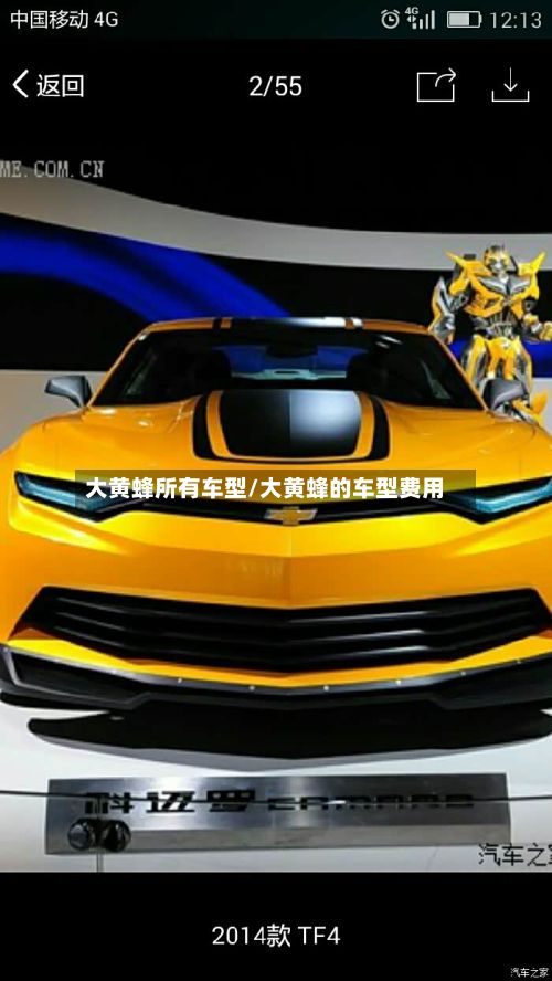 大黄蜂所有车型/大黄蜂的车型费用-第2张图片