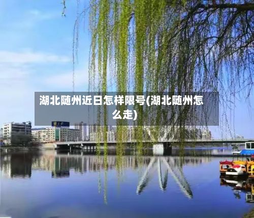 湖北随州近日怎样限号(湖北随州怎么走)