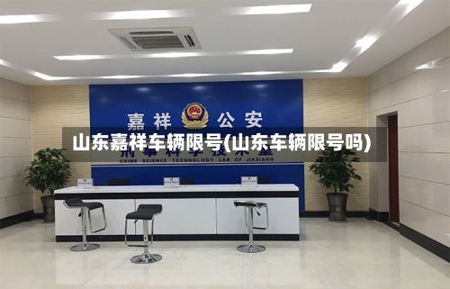 山东嘉祥车辆限号(山东车辆限号吗)