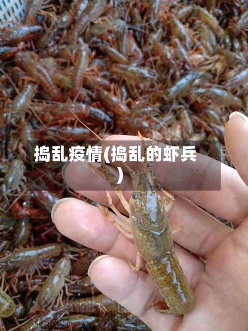 捣乱疫情(捣乱的虾兵)