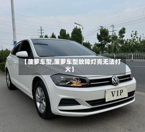 【菠萝车型,菠萝车型故障灯亮无法打火】-第3张图片
