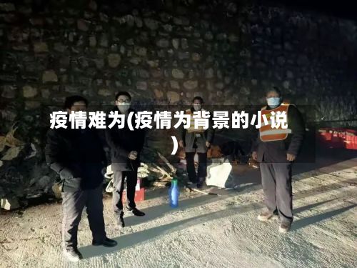 疫情难为(疫情为背景的小说)