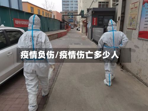 疫情负伤/疫情伤亡多少人